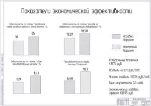 Показатели экономической эффективности проекта (формат А1)