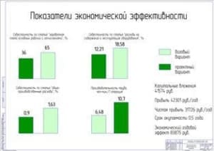Показатели экономической эффективности проекта (формат А1)