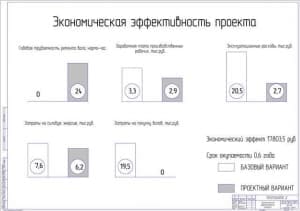 Показатели экономической эффективности проекта (формат А1)