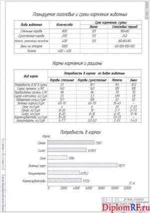 Чертёж планируемого поголовья и потребности его в кормах формат А1)