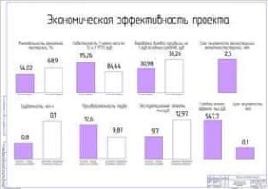 Показатели экономической эффективности проекта (ф.А1)