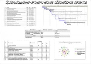 12.	Чертеж организационно-экономическое обоснование проекта 