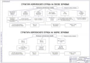 Чертёж структуры комплексных отрядов (формат А1)