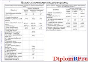 Технико – экономические показатели (формат А1)