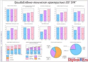 Анализ производственной деятельности ООО «БМК» (формат А1)