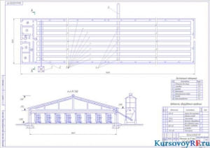 Чертеж птичника на 8 тыс. кур-несушек