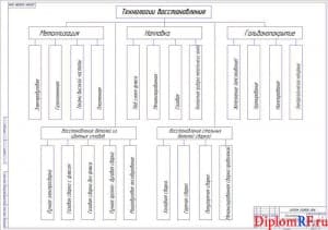 Чертеж существующей схемы технологии восстановления (формат А1)