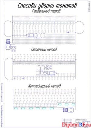 Чертёж способов уборки томатов (формат А1)