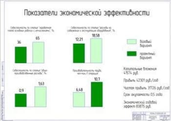 Показатели экономической эффективности проекта (формат А1)