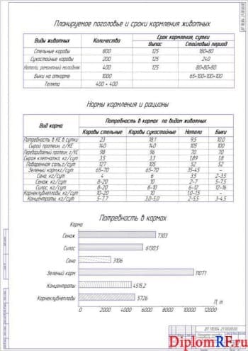 Чертёж планируемого поголовья и потребности его в кормах формат А1)