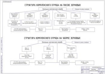 Чертёж структуры комплексных отрядов (формат А1)