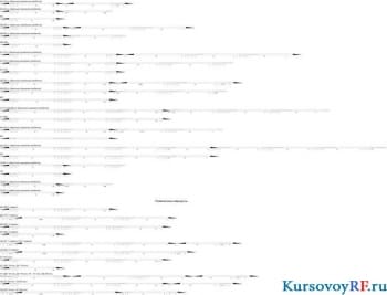 Расчёт стоимости перевозок при различных схемах доставки груза на заданном полигоне