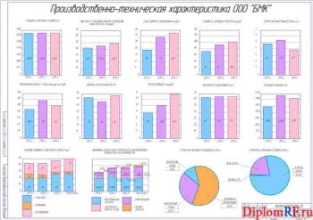 Анализ производственной деятельности ООО «БМК» (формат А1)