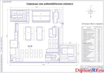 Генеральный план животноводческого комлпекса (формат А1)