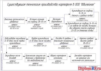 Существующая технология производства картофеля в ООО «Юбилейное» (А1)