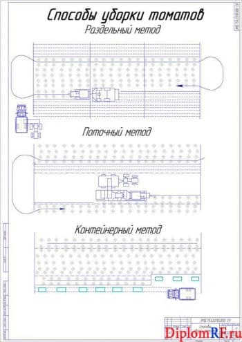 Чертёж способов уборки томатов (формат А1)